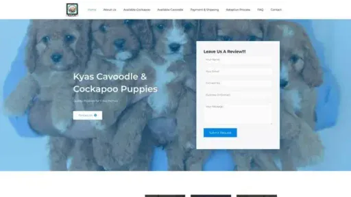 Screenshot of