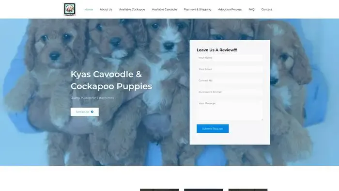 Screenshot of