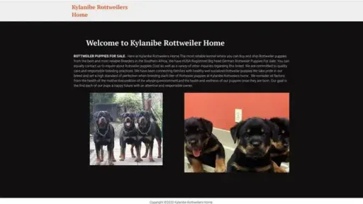 Screenshot of