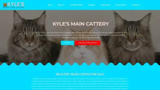Screenshot of