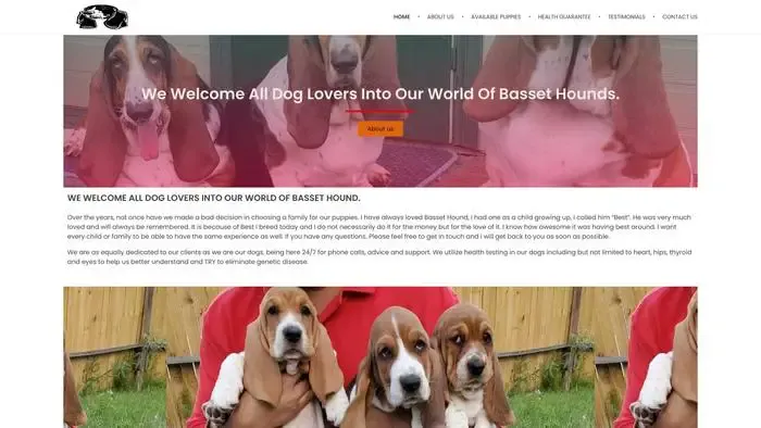 Screenshot of