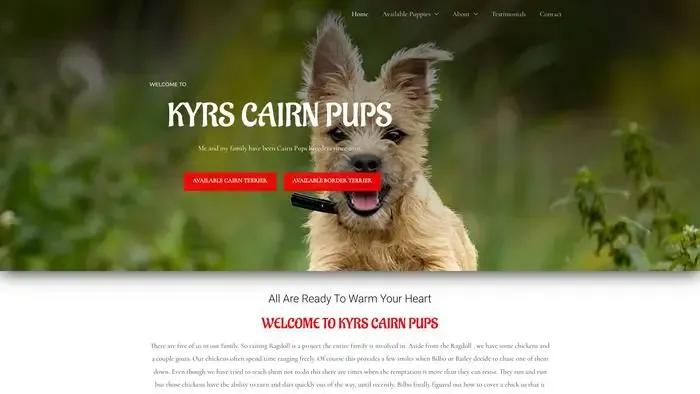 Screenshot of