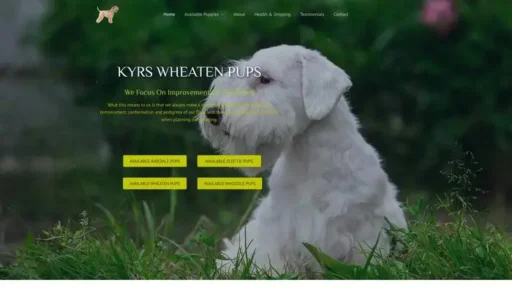 Screenshot of