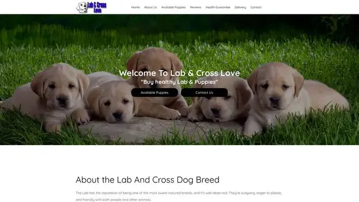 Screenshot of