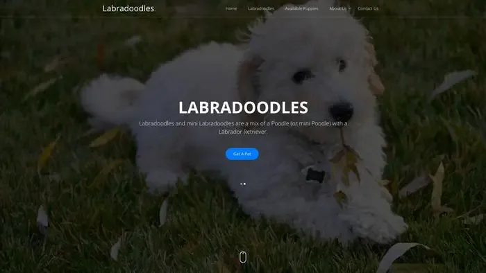 Screenshot of