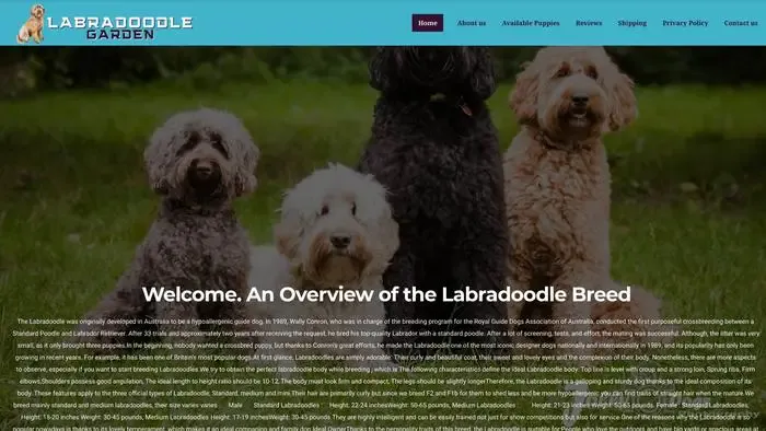 Screenshot of