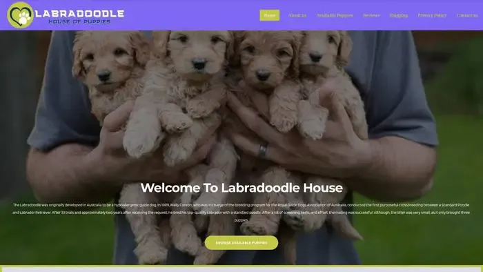 Screenshot of