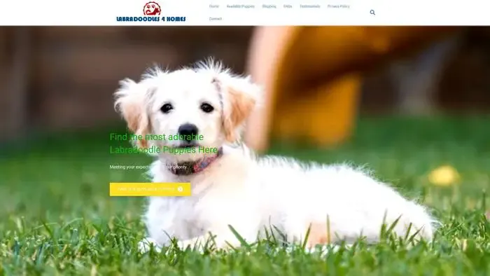 Screenshot of