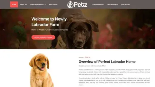 Screenshot of