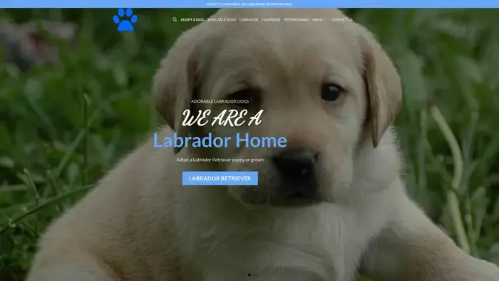 Screenshot of