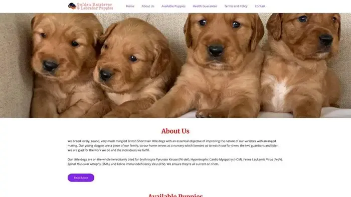 Screenshot of