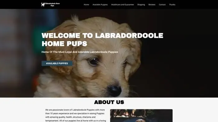 Screenshot of