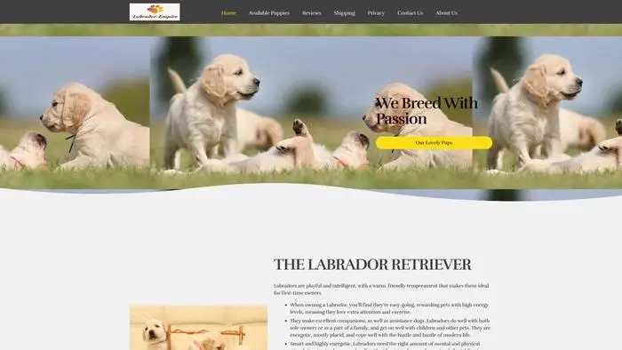Screenshot of