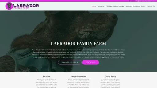 Screenshot of