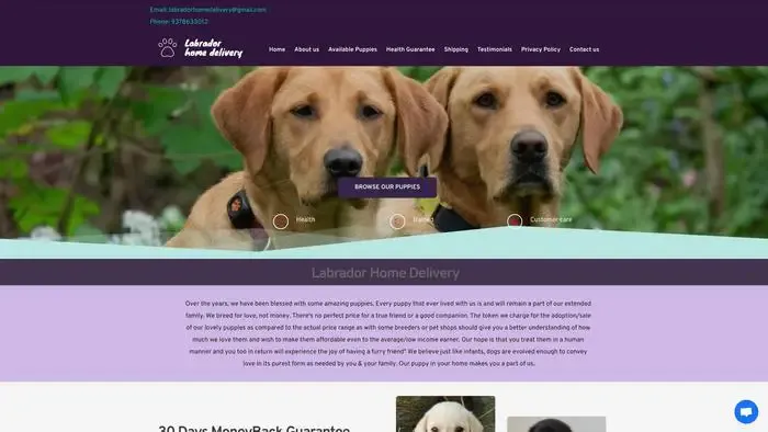 Screenshot of