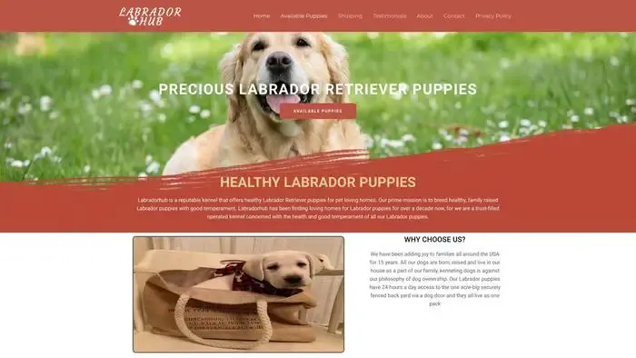 Screenshot of