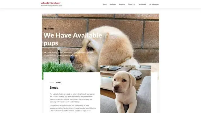 Screenshot of