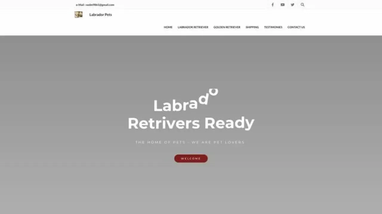 Labradorpets