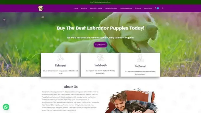 Screenshot of
