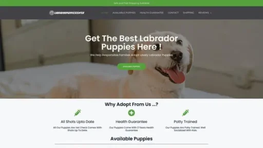 Screenshot of