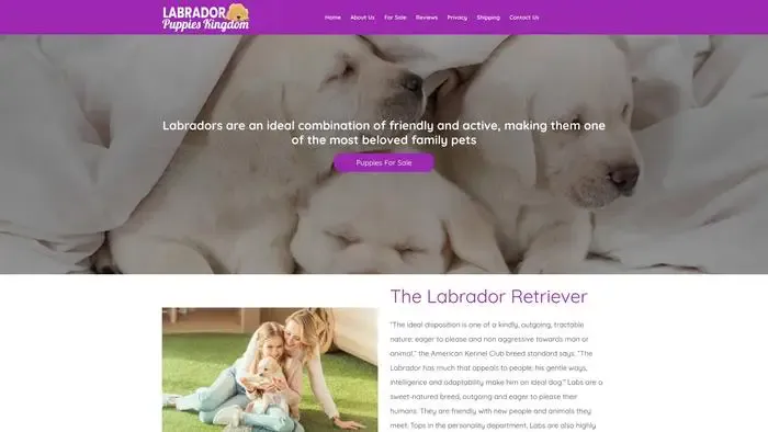 Screenshot of