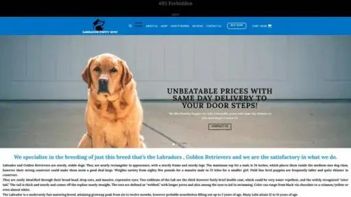 Screenshot of