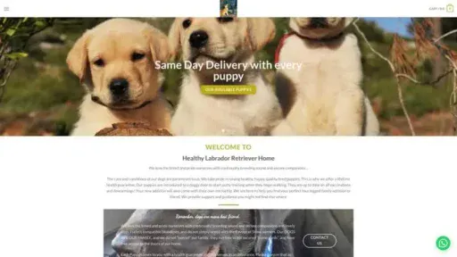 Screenshot of