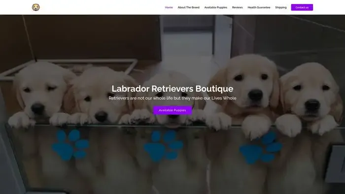 Screenshot of