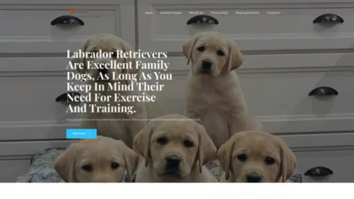 Screenshot of||