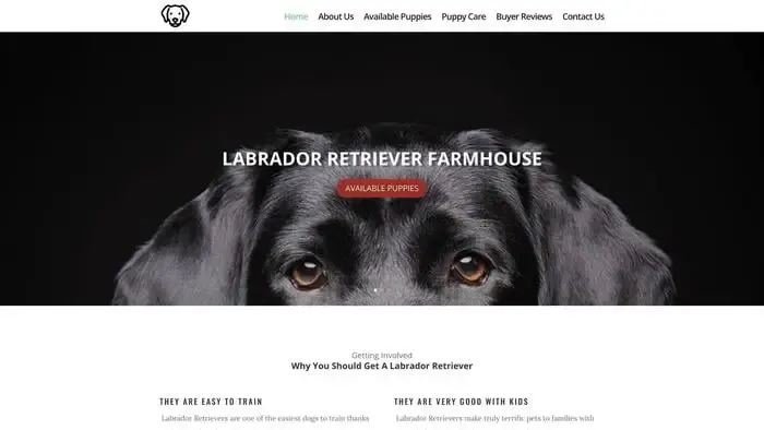 Screenshot of