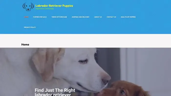 Screenshot of
