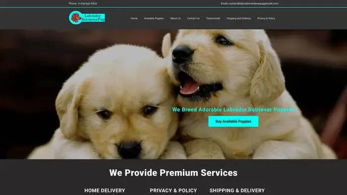 Screenshot of