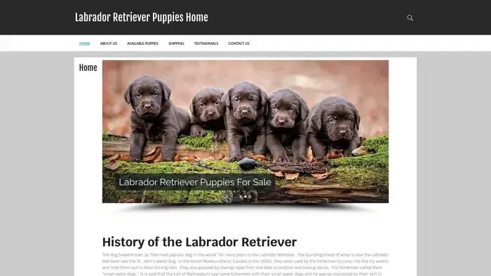 Screenshot of