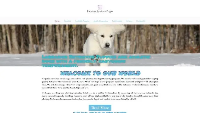 Screenshot of