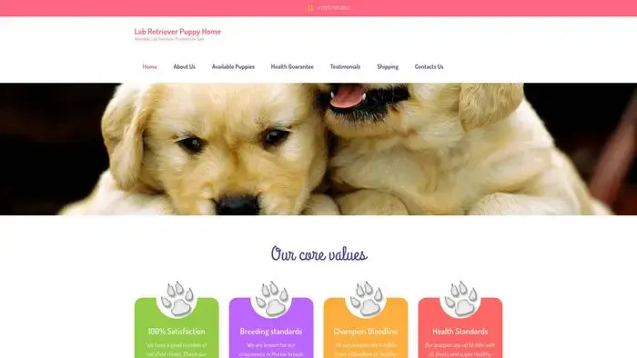 Screenshot of