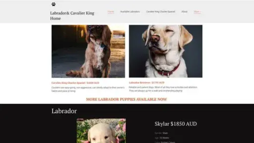 Screenshot of