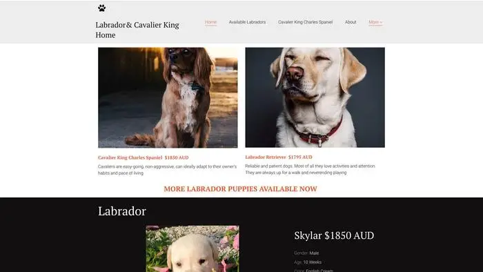 Screenshot of