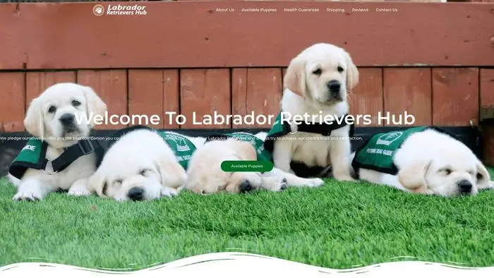 Screenshot of