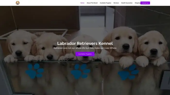 Screenshot of