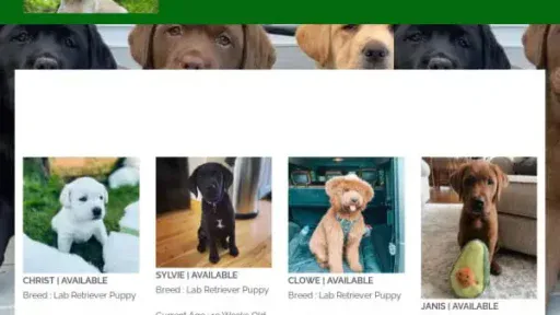 Screenshot of