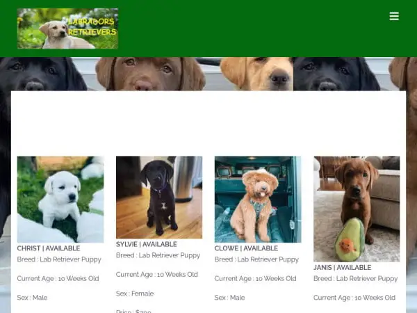 Screenshot of