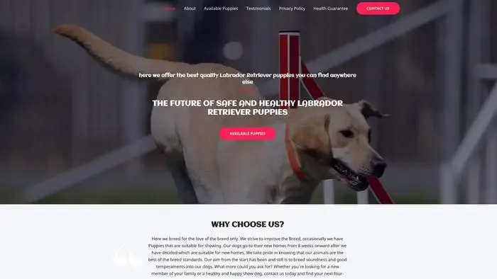 Screenshot of