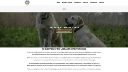 Screenshot of