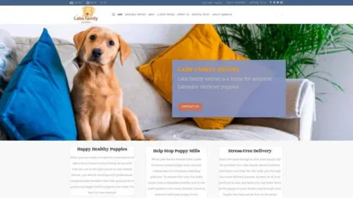 Screenshot of|