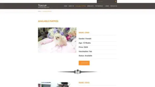 Screenshot of