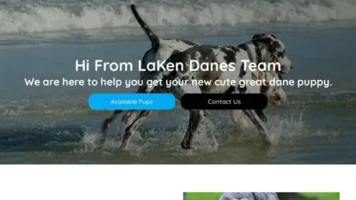 Screenshot of