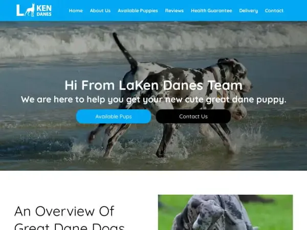 Screenshot of