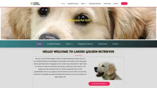 Screenshot of
