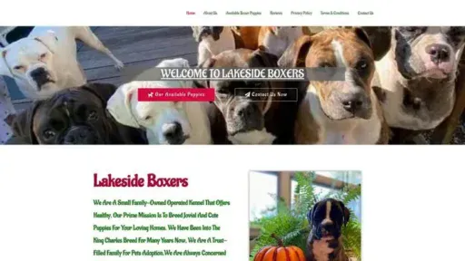 Screenshot of