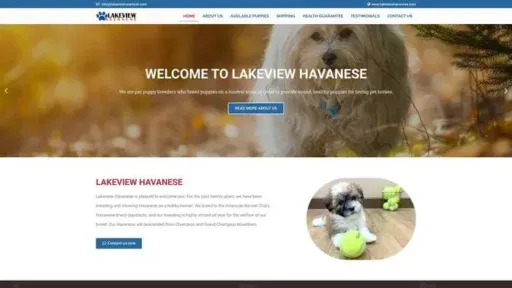 Screenshot of